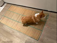 涼蓆 竹蓆 沙灘竹蓆 Bamboo Mattress Beach Mat (不包括狗仔)
