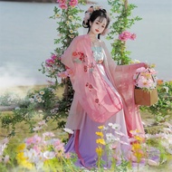 Hanfu Ancient Costume Chinese Tang Costume Suit Vera Hanfu Ancient Costume Chinese Tang Costume Suit
