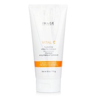 Image 維C保濕酵素面膜 (美容院裝) 170g/6oz