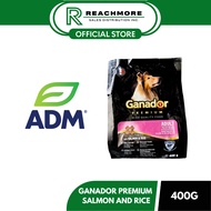 ADM Ganador Adult Salmon & Rice 400g