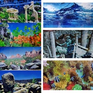 Aquarium View Height 15 Inches Or 38 Cm. Poster There Are 2 Pictures On The Back Of The Aquarium. No