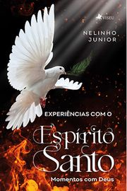 Experiências com o Espírito Santo Nelinho Junior