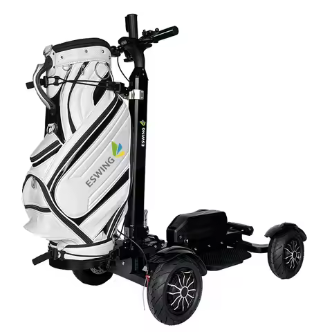 2026 New Trend 4 Wheel Electric Golf Carts Scooter Electric Buggy with One Seater