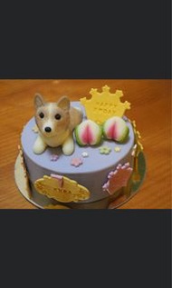 狗狗生日蛋糕