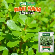 Ground Purslane seeds (1gr) germinate well, grow all year round, grow well - h2t farm