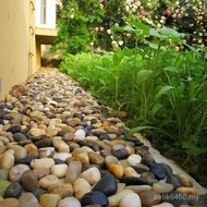 Jingyuanlin Stone Courtyard Pebble Soft Decorative Stone Goose 50kg Stone Garden Paving Rain Flower 