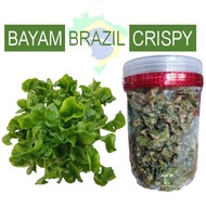 💥🔥 Kerepek Bayam Brazil Crispy🔥💥
