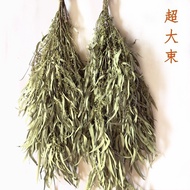 Xiaomi Fruit Dried Flower Preserved Flower Eucalyptus Leaf Eucalyptus Fruit Zombie Fruit Eucalyptus 