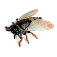 [Toy] Children's Simulation Animal Model Static Solid Wild Insect Cicada Knows Golden Cicada Plastic