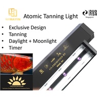 🔥Mayin Authorized seller🔥Mayin Super Atomic Tanning Light 13000k/2700k
