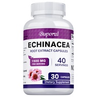 The first line of defense for respiratory health | Original American Echinacea root capsules | Pure