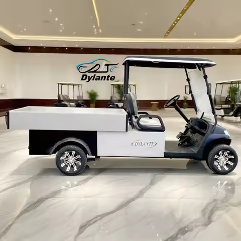 2025 New Design Farm Truck, 2 Seater 60V 4 Wheel Electric Golf Cart with Cargo Box, Suitable for Fac