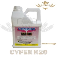 CYPER H20 4LITER /Racun serangga/Cypermethrin 20%