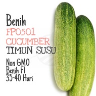 BENIH Timun Susu | Cucumber Seeds 黄瓜籽 种子 SL03