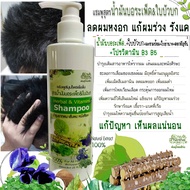 ผมหงอก ผมหงอกก่อนวัย หงอกความเคลียด หงอกอ่อนแอ "แชมพูสูตรน้ำมันบอระเพ็ด&Pro-วิตามิน "ยี่ห้อพันธุ์ไทย
