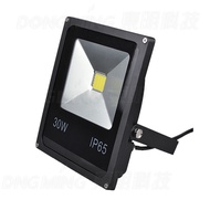 LED Outdoor Light 30W