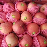 apel fuji buah 1kg