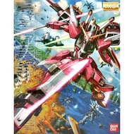 Gundam MG Model Kit: Infinite Justice Gundam