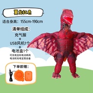 Dinosaur Costume