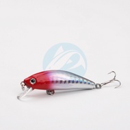 Bapak Ikan Lures & Baits Sinking Minnow Fishing(5.5cm/6g) Mini Treble Hook Lure Baits Casting Pancin