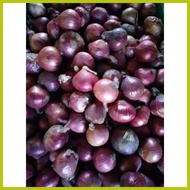 ➫ ◑ ╲ 1 kg lasona native sibuyas red onion from ilocos