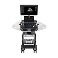21.5 Inch Large Screen 13.3 Inch Touch Screen Color Doppler Ultrasound Machine Portable Trolley Type