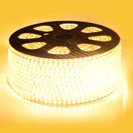 Waterproof 5050 led string light (retail)