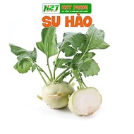 Sweet, Crispy Kohlrabi Seeds, Easy to Grow - H2T FARM