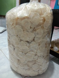 5 KG OPAK KOIN OPAK SINGKONG MENTAH