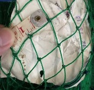 100 meters-0.75 inch x10ft-Range Net/Chicken Net/Poultry Net/Fishing Net with free rope 200 meters a