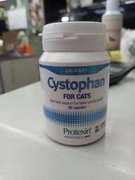 散賣 cystophan for cats