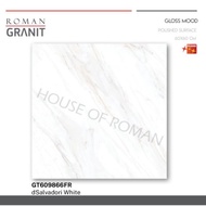 Roman Granit Dsalvadori White 60X60 / Roman Granit / Lantai Granit /