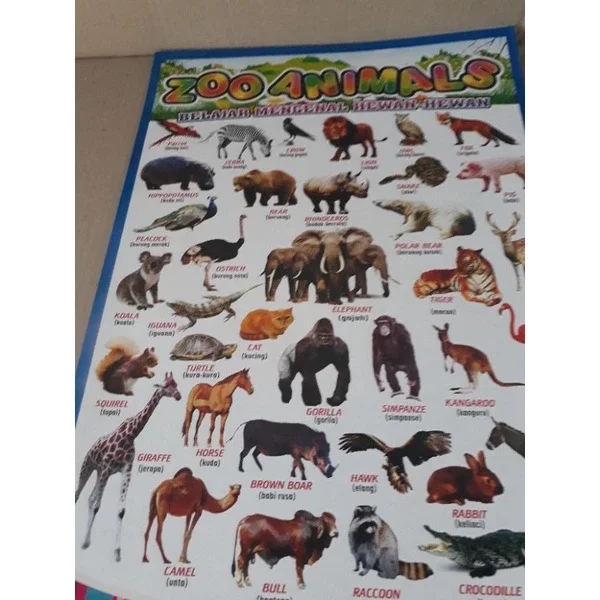 5 Lembar poster hewan dikirim campur Poster edukasi anak