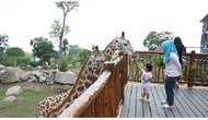 DLX SAVANNA-JENIUS DEALS BAOBAB SAFARI PRIGEN-VOUCHER HOTEL