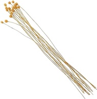 Rattan Reed Sticks 20pcs Flower Reed Diffuser Sticks Refills Wood Essential Oil Aroma Diffuser Sticks for SPA Office Home Decor Essential Oil Diffusers