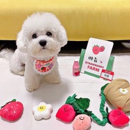 Squeaky Strawberrys Potted Toy For Dog Reusable Bite Resistant Puppy Toys For Indoor Outdoor