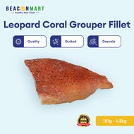 [Beacon Mart] Seafood Fresh Frozen Leopard Coral Grouper Fillet | Beku Segar Leopard Kerapu Batu Kar