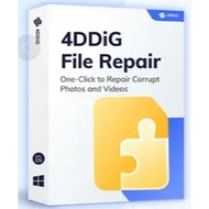 4DDiG File Repair (4DDiG File Repair  (Effortlessly Repair/Enhance any videos, photos, and files)