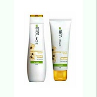 Shampo Package And CONDITIONER MATRIX BIOLAGE SMOOTHPROOF