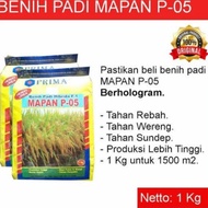 BENIH PADI MAPAN05 ASLI