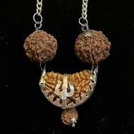 1 mukhi Rudraksha 1 face Rudrakhsha