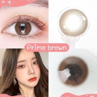 คอนแทคเลนส์ รุ่น Mini Primo มีสีเทา/ตาล Gray/Brown By Kitty Kawaii มีค่าสายตาสั้น (0.00)-(-10.00)