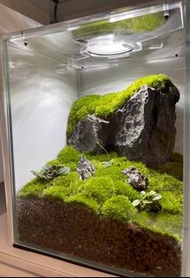 苔蘚生態缸/ 生態瓶 植物造景 枱面擺設 office辦公室盆景 風水 治療
