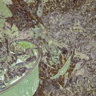 Tut pokok tin sesuai semua jenis pokok tin