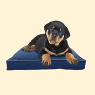 Yogibo โยกิโบเบาะนอนสุนัข รุ่น Doggybo Small 60 x 50 ซม.