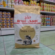 Royal Canin maine Coon Freshpeck 4kg (kusus Maine Coon adult