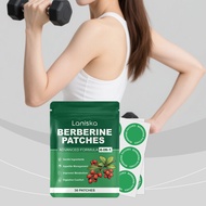 Professional Berberine & Glutamine Body Care Patch – Gentle Formula for Lasting Skin Comfort, Wear f