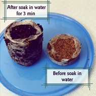 Coco peat (mini)
