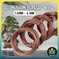 Aluminium Bonsai Gardening Wire Dawai Bonsai Aluminium 100g Bronze Pokok Bunga Garden Aluminium Bong