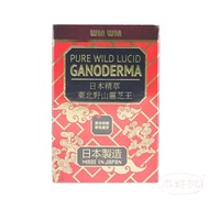 WINWIN - 日本精萃東北野山靈芝王 菌中之上品 60粒